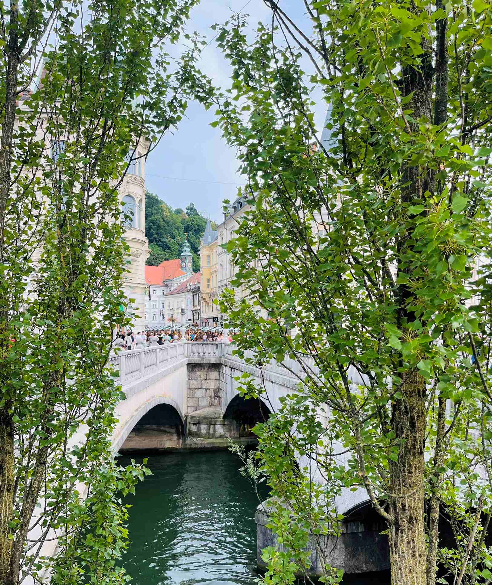 Two bridges run parallel into Ljubljana with trees in foreground